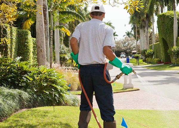About Hopkinsville KY Pest Control